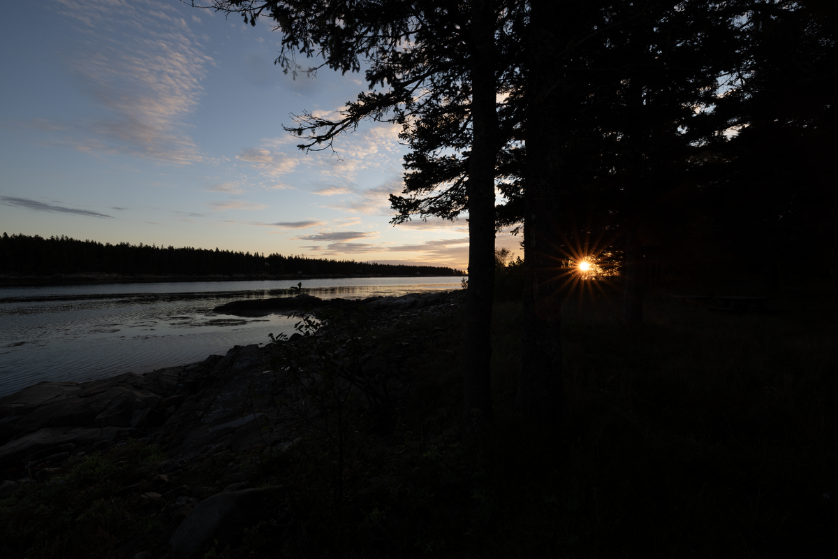 About Wild Rose Maine