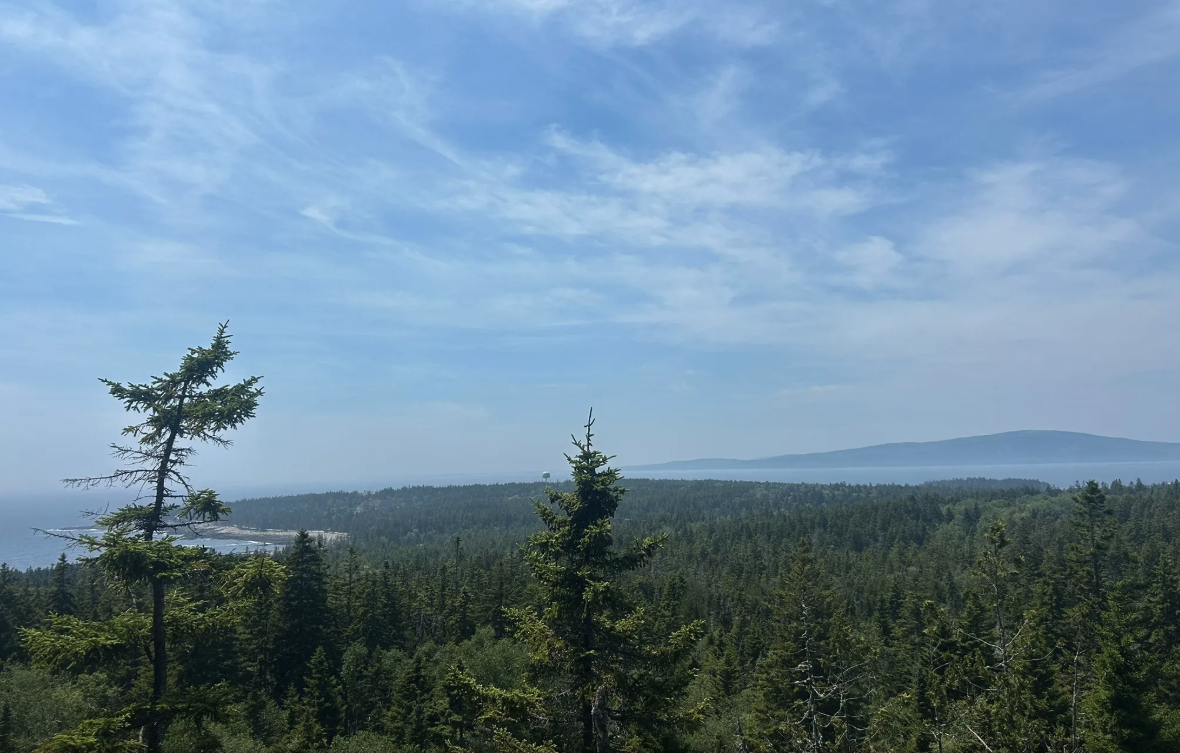 What’s the Best Hike on the Schoodic Peninsula? (Anvil Trail in Acadia National Park)