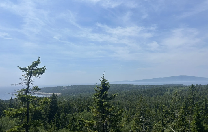 What’s the Best Hike on the Schoodic Peninsula? (Anvil Trail in Acadia National Park)